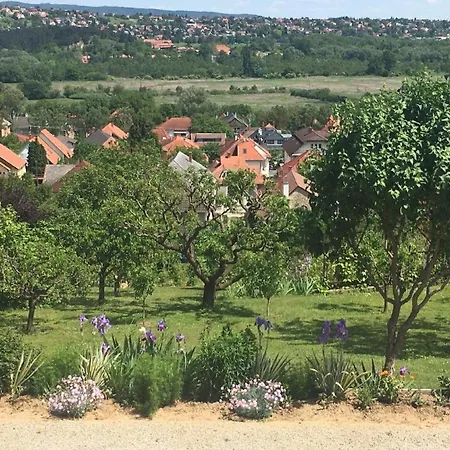 Apartment Im Og Mit Westausrichtung Und Balkon *