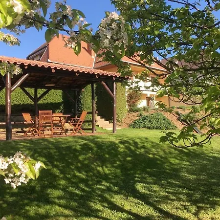דירה Im Og Mit Westausrichtung Und Balkon